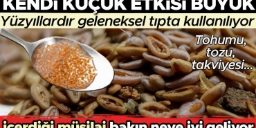 kendi-kucuk-tesiri-buyuk-karniyarik-otu-yuzyillardir-kl-sik-tipta-kullaniliyor-yararlari-saymakla-bitmiyor-8Kh7SCyj.jpg