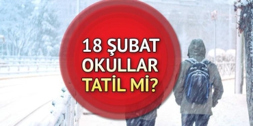 yarin-okullar-tatil-mi-hangi-vilayetlerde-kar-tatili-oldu-18-subat-sali-okullar-tatil-jatCXcu9.jpg
